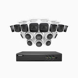 EL200 - 1080p 16 Channel Outdoor Wired Security CCTV System with 8 Bullet & 8 Turret Cameras, 3.6 MM Lens, Smart DVR with Human & Vehicle Detection, 66 ft Infrared Night Vision, 4-in-1 Output Signal, IP67