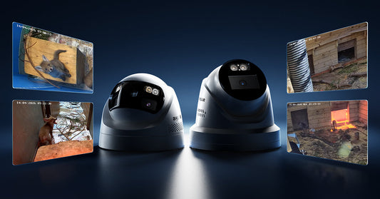 How Security Cameras Help Protect Wildlife: A Real Case Study